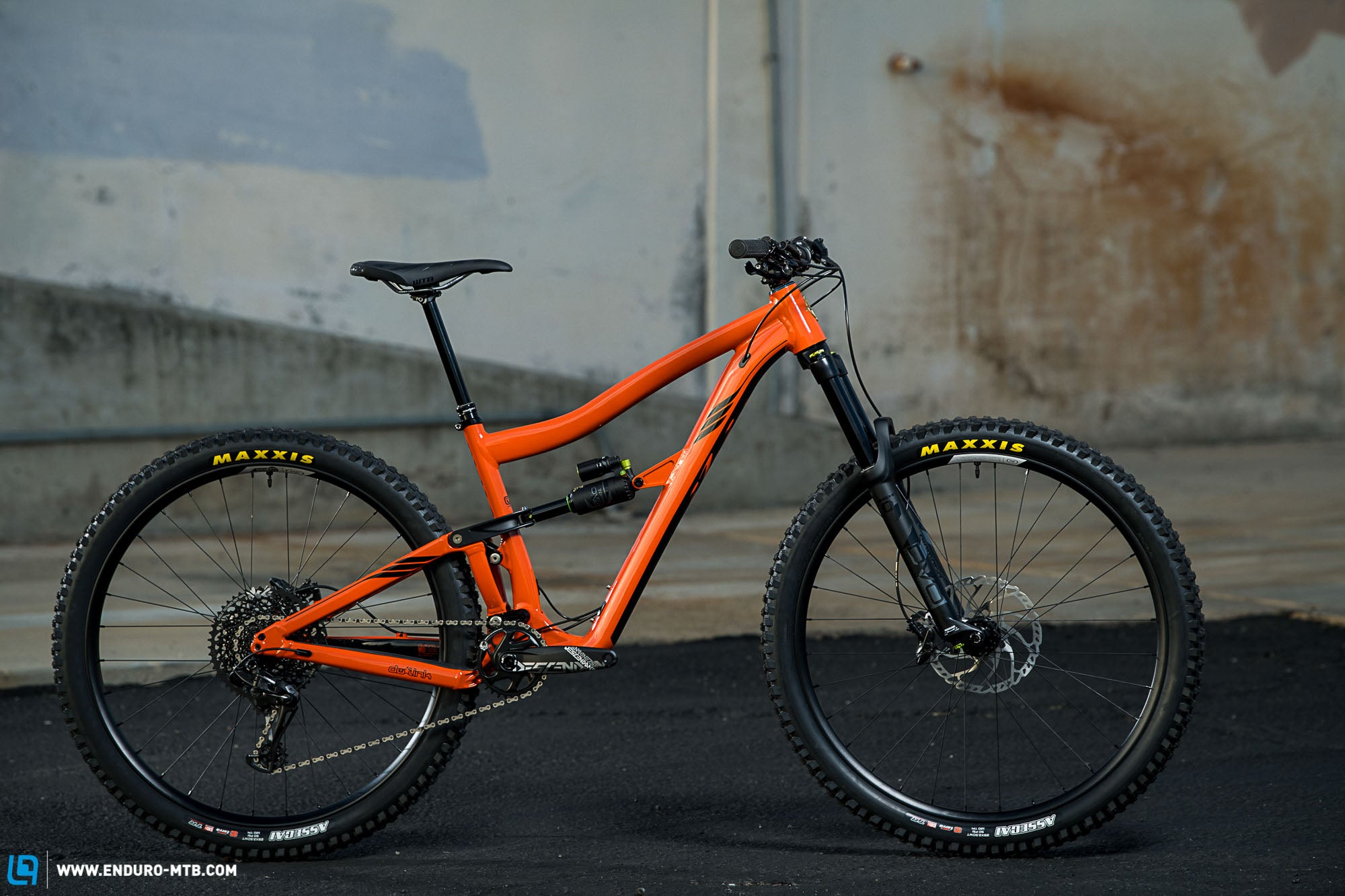 Backstrom Ibis Ripmo AF – Velorangutan